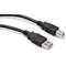 HOSA High Speed USB Cable