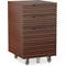 BDI Corridor Mobile File Pedestal