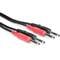 HOSA Dual 1/4 in TRS to Same, 2 m