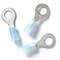 BULK Blue Nylon Ring Terminal