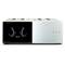 Anthem STR-AMP (SL) power amp