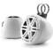 JL Audio M3-650VEX-GW-S-Gw