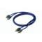 EFX Rogue 2-Channel RCA