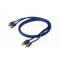 EFX Rogue 2-Channel RCA