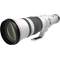 Canon RF600mm f/4 L IS USM