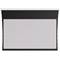 Screen Innovations 110