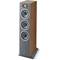 Focal Theva N3 Dark Wood ea