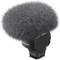 Sony ECM-M1 Digital Shotgun Microphone