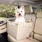 PetSafe Solvit Deluxe On Seat Booster
