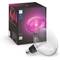 Philips Hue Lightguide Ellipse E26 Bulb