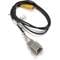 Axxess AXBUCH-GM3 2014-up GM Backup Camera Adapter