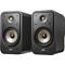 Polk Sig Elite ES20 Black pr