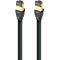 AudioQuest Forest Ethernet