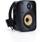 Bluesound Pro PoE Network Streaming Speaker
