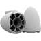 Wet Sounds REV 8 Special Edition W-X V2