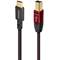AudioQuest Cinnamon USB C to B cable