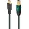 AudioQuest Forest USB C to B cable