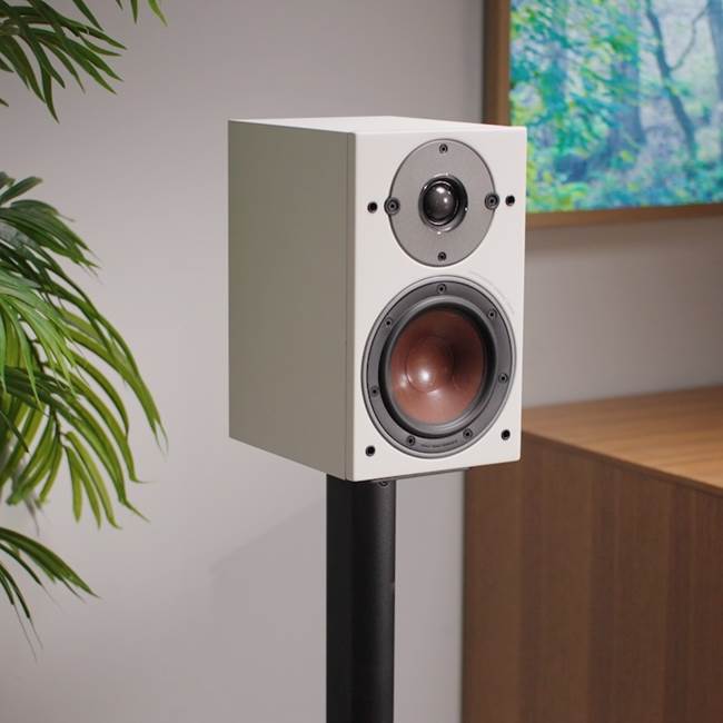 DALI Oberon 1 (White) Bookshelf speakers (White) at Crutchfield