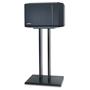 Bose® 301® Series IV With optional speaker stand