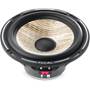 Focal Performance PS 165F Other