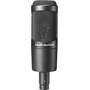Audio-Technica AT2035 Mic detail