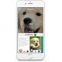 FitBark Activity Monitor Make sure all of your pet's caretakers are on the same page