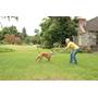PetSafe Stay+Play® Wireless Fence It's all fun and games inside the wireless safe zone