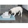 PetSafe Drinkwell® Ceramic Pagoda Two streams of water and two drinking levels