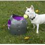 PetSafe Automatic Ball Launcher Teach your dog to reload and keep the game going