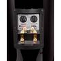 Revel Performa3 F208 Back-panel controls for tweeter level and low-frequency compensation