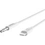 Belkin 3.5mm to Lightning™ Audio Cable Plug newer iPhones into an aux input on your stereo
