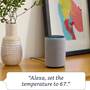 Amazon Echo Plus (2nd Generation) Gray - control smart home devices