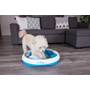 iFetch iDig Stay Load it with toys or treats to provide a positive outlet for your dog's desire to dig