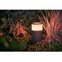 Philips Hue Calla White/Color Outdoor Extension Light (600 lumens) Other