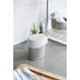 Bose® Home Speaker 300 Luxe Silver - compact design fits about anywhere