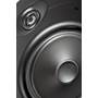 Definitive Technology DT8LCR Close-up view of woofer and tweeter