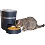 PetSafe Smart Feed Automatic Dog and Cat Feeder, 2nd Generation Front