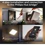 Philips Hue White & Color Ambiance Discover Outdoor Floodlight Other