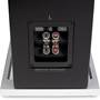 Definitive Technology Demand D15 Dual sets of speaker terminals allow bi-amping or bi-wiring