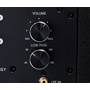 Definitive Technology Descend DN10 Easy-to-use dial for volume controls and low-pass filter