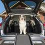 PetSafe® Happy Ride™ Folding Dog Ramp Front