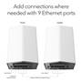 NETGEAR Orbi Pro AX6000 Tri-band Wi-Fi® System (SXK80) Back of router and satellite