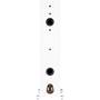 Monitor Audio Silver 500 7G Back (shown in white)