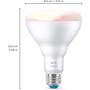 WiZ Full Color BR30 Bulb (650 lumens) Other