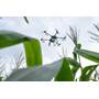 DJI AGRAS T30 Other