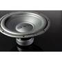 SVS SB-1000 Pro 12" woofer with dual ferrite magnets