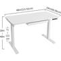 Motionwise ATB48W Sit/Stand Motorized height adjustment with position presets