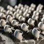 Sennheiser IE 600 3D-printed earbud housings