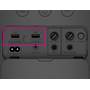 Sony SRS-XP500 Two charging USB ports, one of which can be used for playback