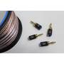 Austere III Series Speaker Cable Shown with Austere banana connectors (sold separately)